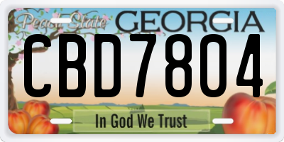 GA license plate CBD7804