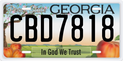 GA license plate CBD7818