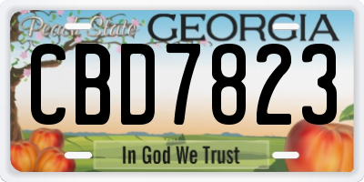 GA license plate CBD7823
