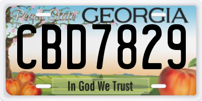 GA license plate CBD7829