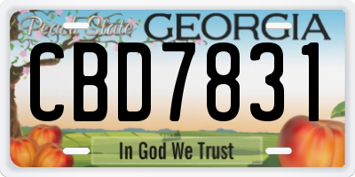 GA license plate CBD7831