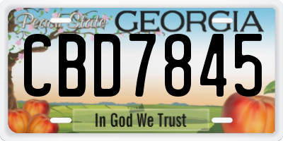 GA license plate CBD7845