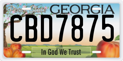 GA license plate CBD7875