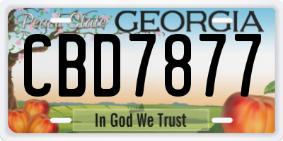 GA license plate CBD7877