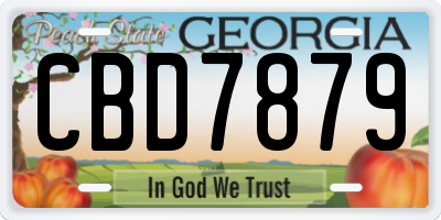 GA license plate CBD7879