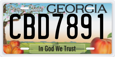 GA license plate CBD7891