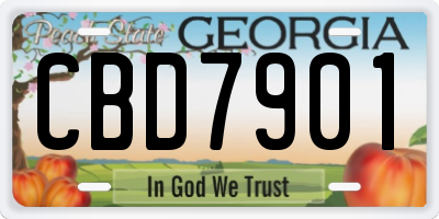 GA license plate CBD7901