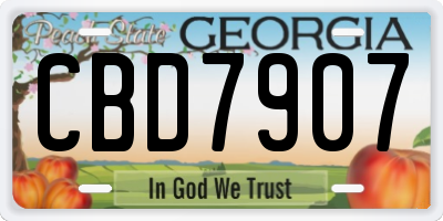 GA license plate CBD7907