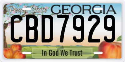GA license plate CBD7929