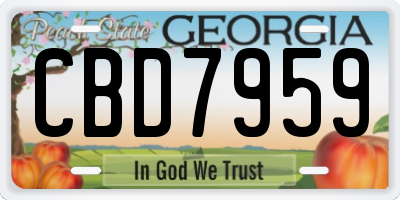 GA license plate CBD7959
