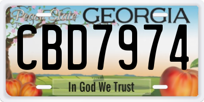 GA license plate CBD7974