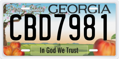 GA license plate CBD7981