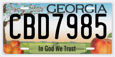 GA license plate CBD7985