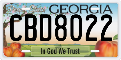 GA license plate CBD8022