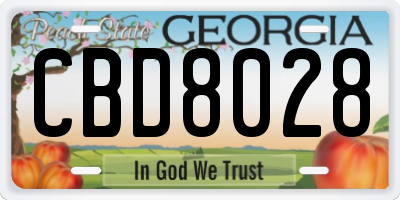 GA license plate CBD8028