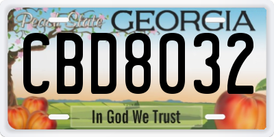 GA license plate CBD8032