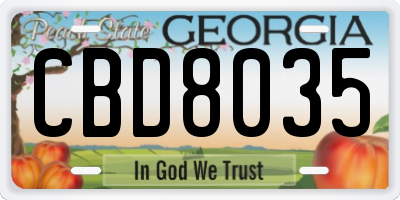 GA license plate CBD8035