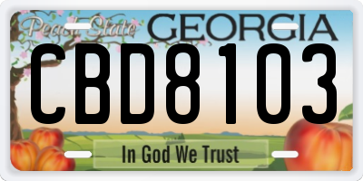 GA license plate CBD8103