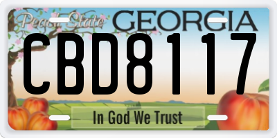 GA license plate CBD8117
