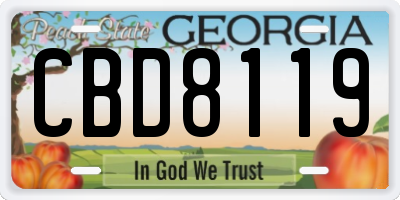 GA license plate CBD8119