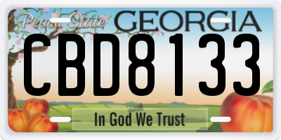 GA license plate CBD8133