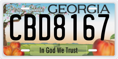 GA license plate CBD8167