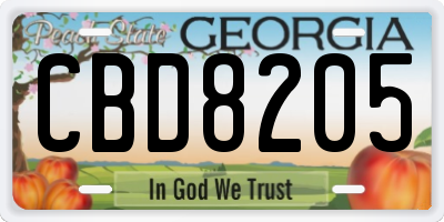 GA license plate CBD8205