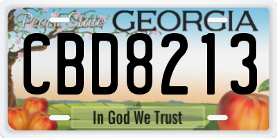 GA license plate CBD8213