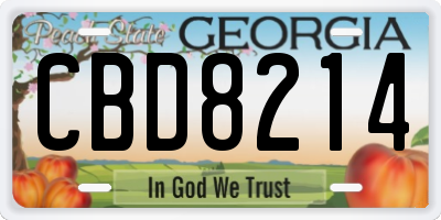 GA license plate CBD8214