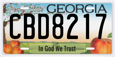 GA license plate CBD8217