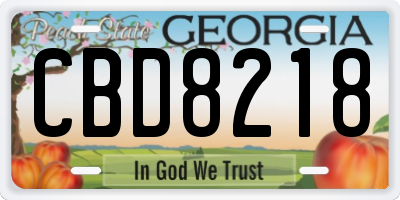 GA license plate CBD8218