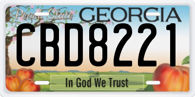 GA license plate CBD8221