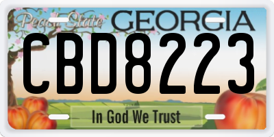 GA license plate CBD8223