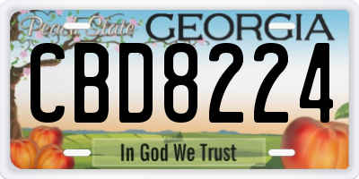 GA license plate CBD8224
