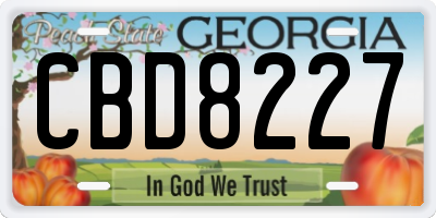 GA license plate CBD8227