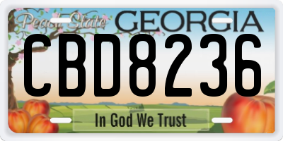 GA license plate CBD8236