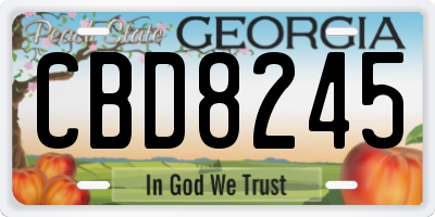 GA license plate CBD8245
