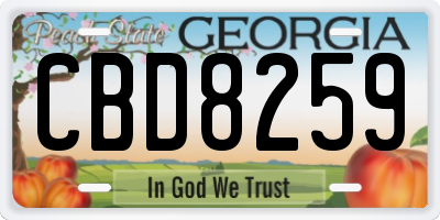 GA license plate CBD8259
