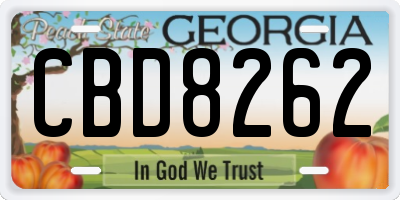 GA license plate CBD8262