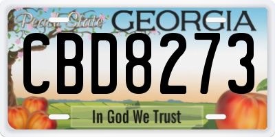 GA license plate CBD8273