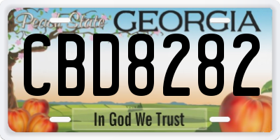 GA license plate CBD8282
