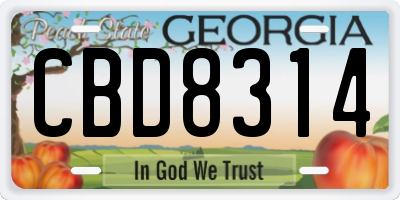 GA license plate CBD8314