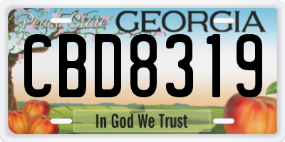 GA license plate CBD8319