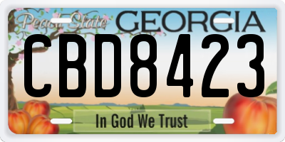 GA license plate CBD8423