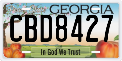 GA license plate CBD8427