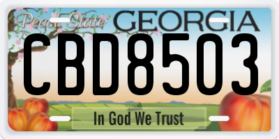 GA license plate CBD8503