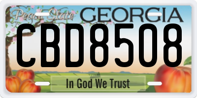 GA license plate CBD8508