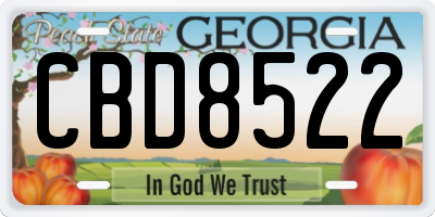 GA license plate CBD8522