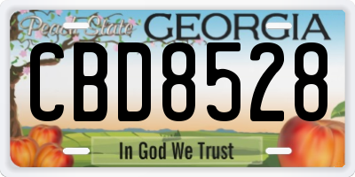 GA license plate CBD8528