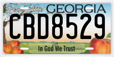 GA license plate CBD8529